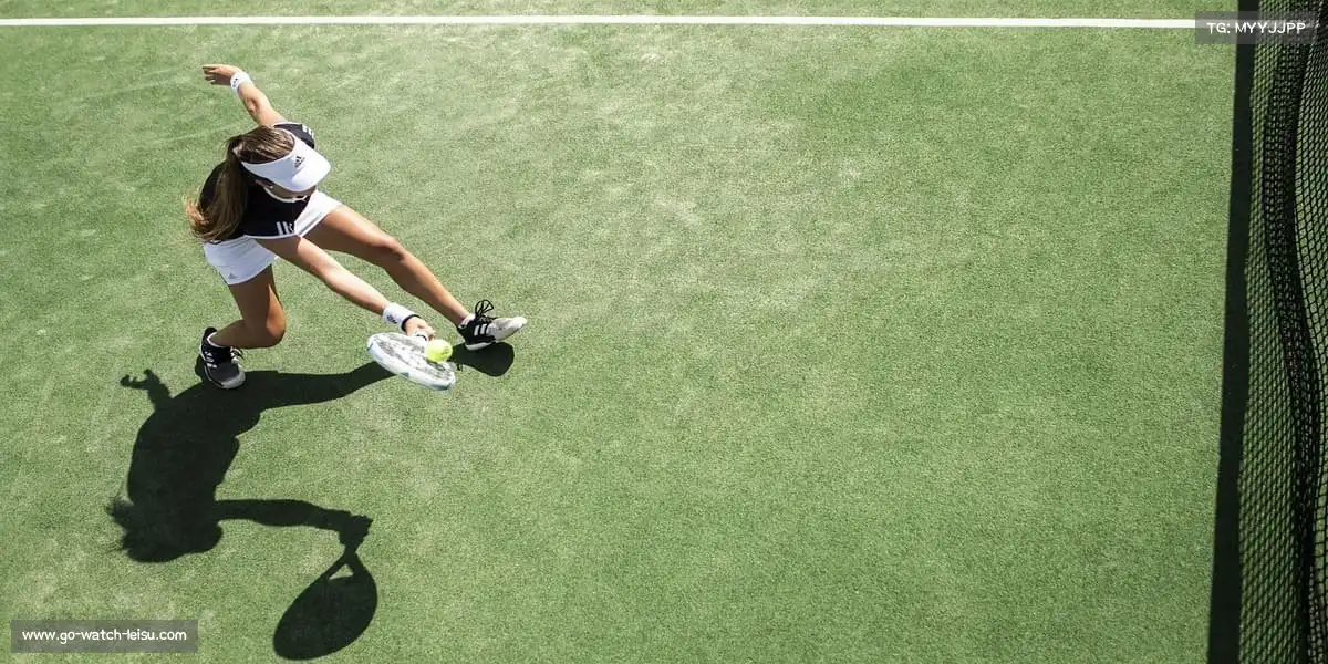 雷速体育比分直播——🚣‍♂️🐬 帆板竞速，海豚跃帆！